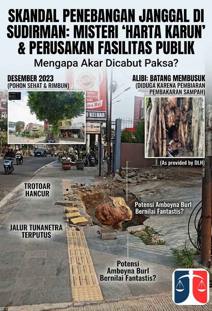 MISTERI ‘HARTA KARUN’ DI JALAN SUDIRMAN: Mengapa Akar Pohon Tua Harus Dicabut Paksa Hingga Hancurkan Trotoar?